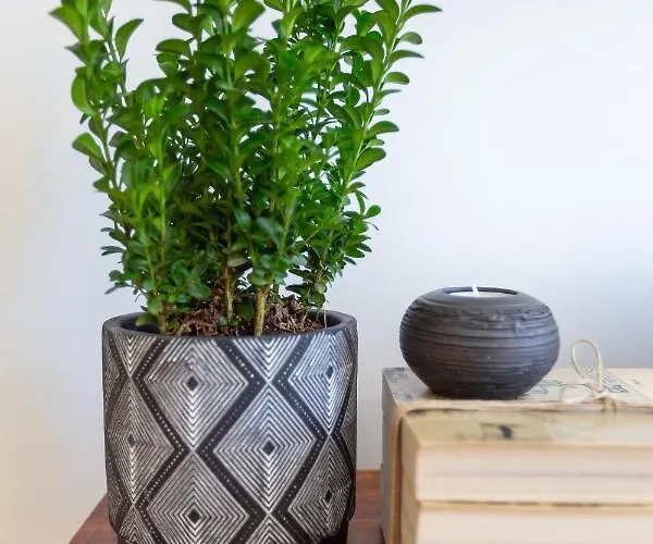 Apartament Welcome Aliados A Noble In Heart Porto